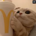 rayansilver12