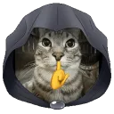 plsresdroblox avatar