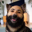 drlarck
