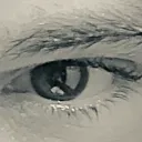 neozox_