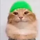 tjmaxalt