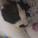 mochi6799_