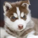 saydelito05_85258 avatar