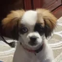 targeteandolos. avatar