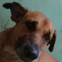 loaki023_24193 avatar