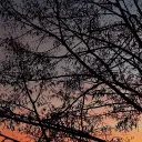 madoarecapul789