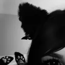 drowneddinsorrow