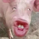 smithrmf