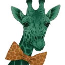 tealgiraffe44