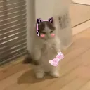 liluziisqrt.