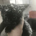 zhu9_