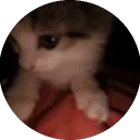 fewkz_