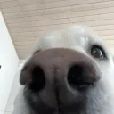 ooblord_1