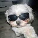 bababbypr avatar