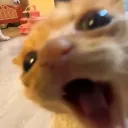 pis_yakoroleva avatar