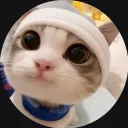swiftmc67