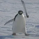 pajeroooooo_08668 avatar