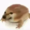 svenfeld_max105 avatar