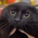 dkabuser