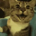 naxeexvr