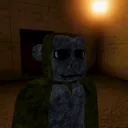 naxeexvr