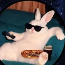 noctisthefool