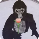 monke002684