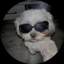 agua_depepinillo avatar