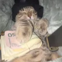 luxxyischill