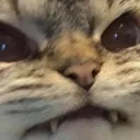 bottomofelizabethstat4am