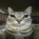 xxd3monioxx. avatar