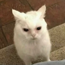 avatar angy [AIRPLANE MODE: 🟢]