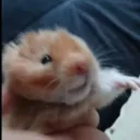 szymiq_1