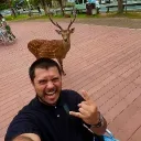 ivilce2