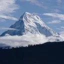 pynkcarz