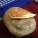supersquirel284