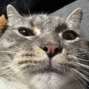 laruk_hol