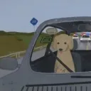 alberto041406 avatar