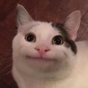 fofo_augu