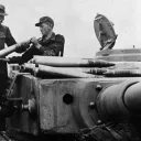 baby_of_quebec avatar