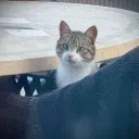._person_.
