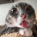 avatar 𝟐𝟑.ᴇᴜꜱ