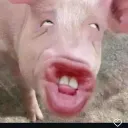 dr12372gg_60305 avatar