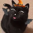 isthathow_