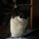 jessicat10000