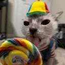 absolute_sillyness