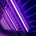 lightning_44013 avatar