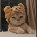 namish04512
