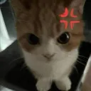 nychkz