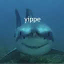 0nyx_th3sharky